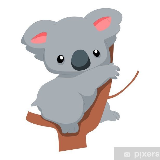 Gym Koalas